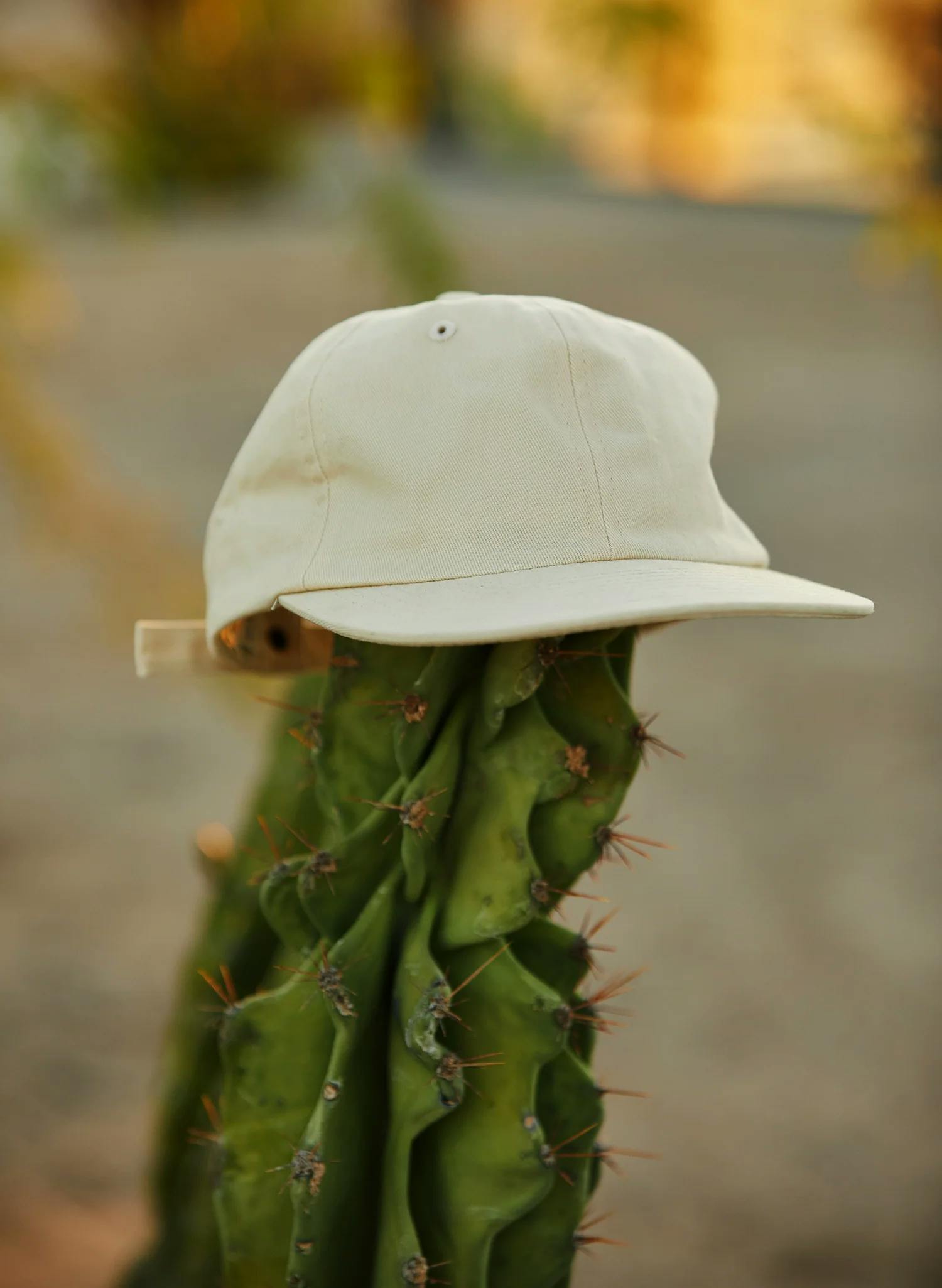 Weld MFG Brushed Cotton Field Trip Hat - additional Image 3