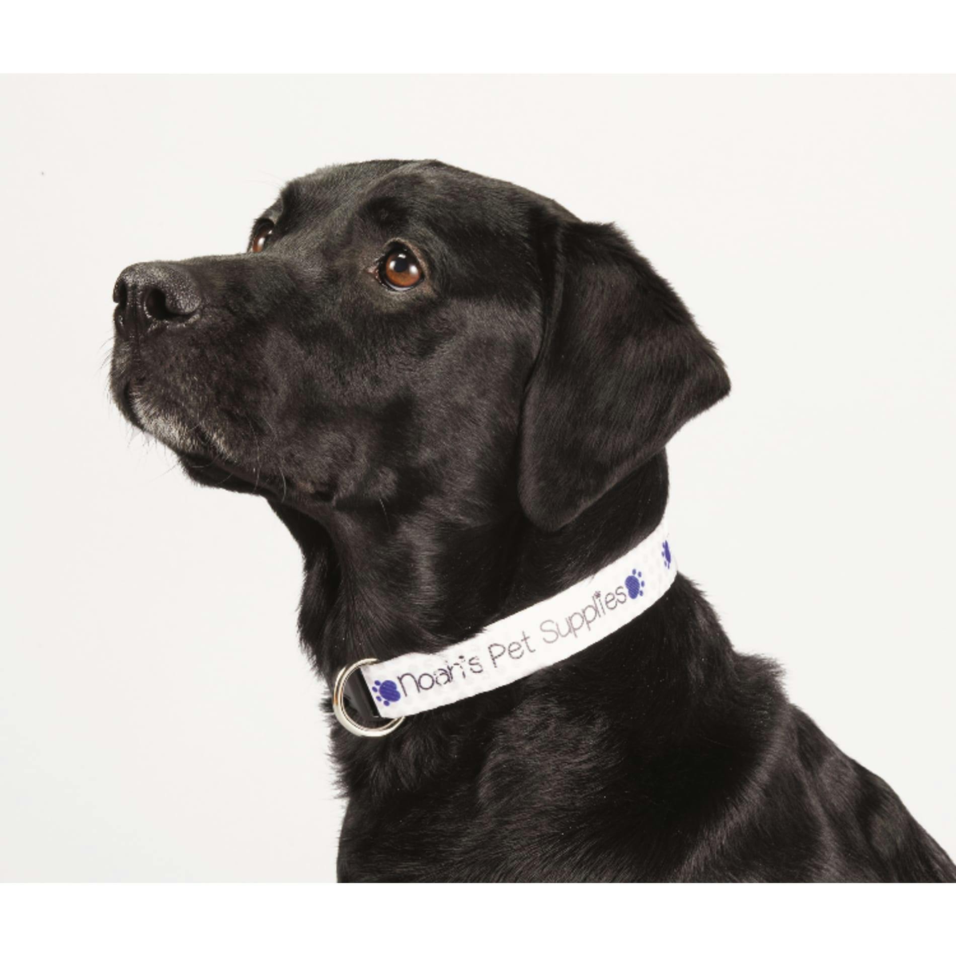 Full Color 1" Wide Adjustable Pet Collar - additional Image 1