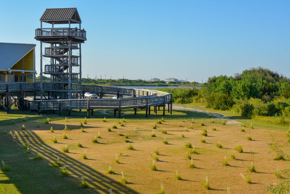 A Guide to Grand Isle State Park