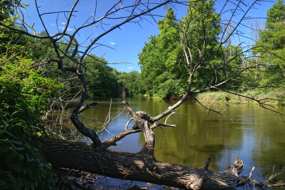 what township am i in living in river park indiana
