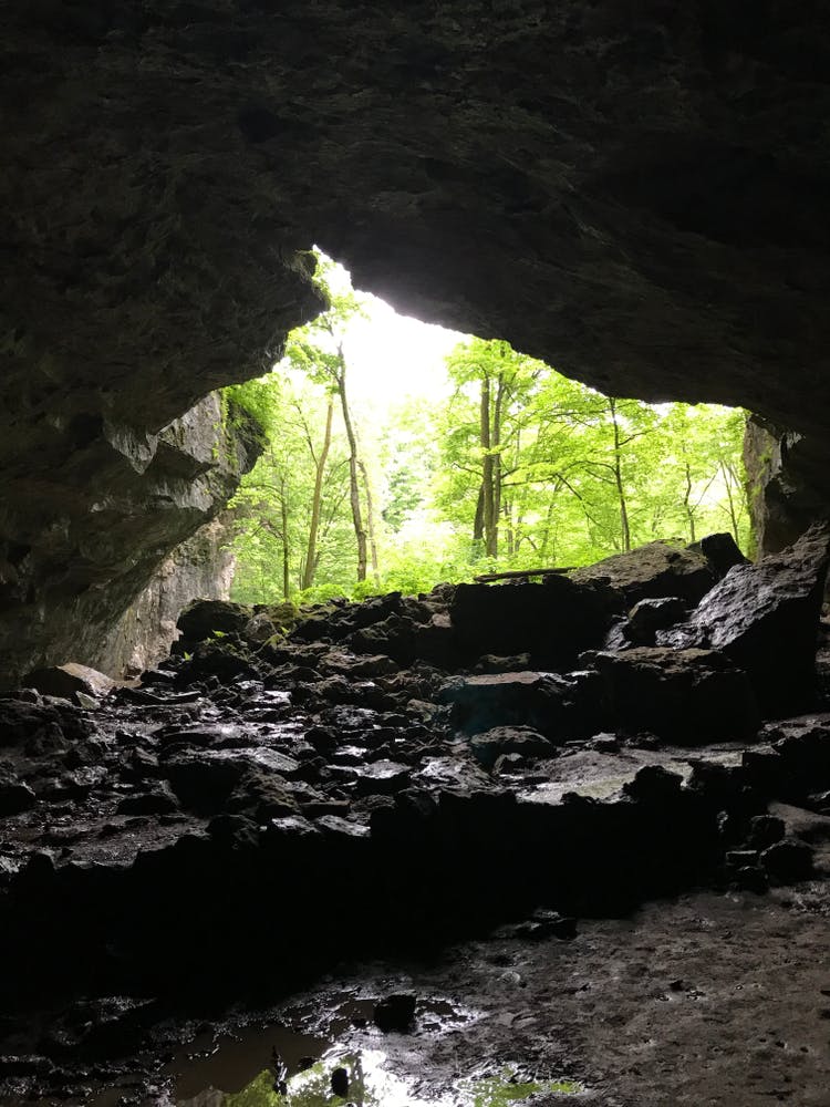 A Guide to Maquoketa Caves State Park