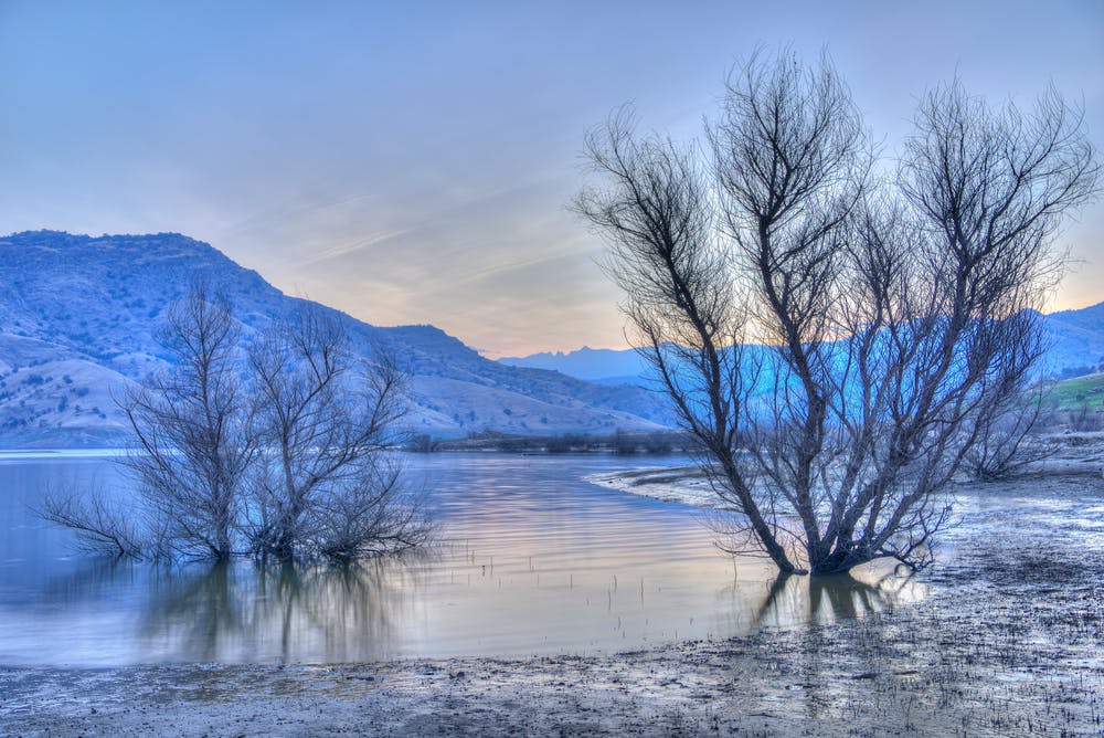 Turlock Lake