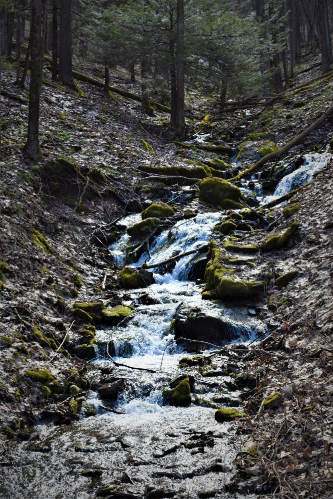 A Guide to Activities & RV Rentals at Kettle Creek State Park RVshar