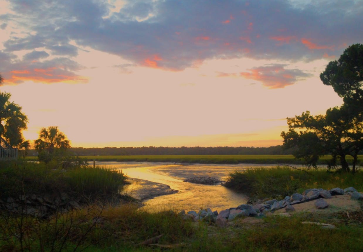 A Guide to Edisto Beach State Park