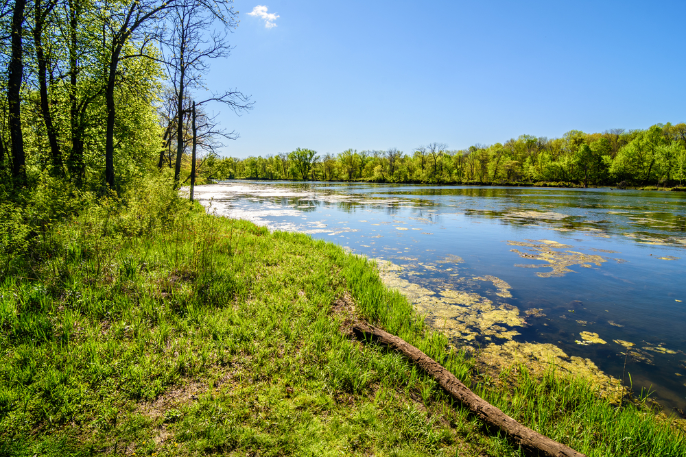 A Guide To Volga River State Recreation Area RVshare Com   4fe5faf8 4e8a 4fc8 82a4 8001b861e114 Shutterstock 417905509 