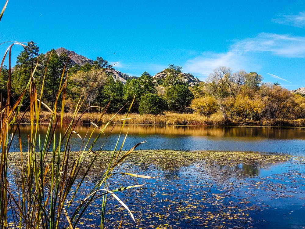 A Guide to Roper Lake State Park