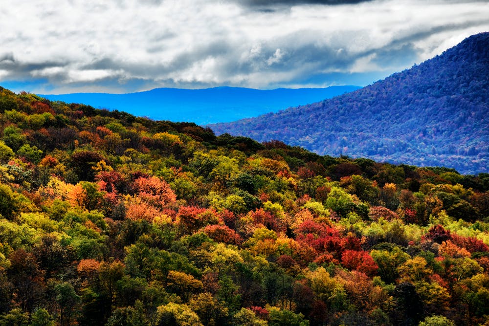 A Guide to Greenbrier State Forest | RVshare.com