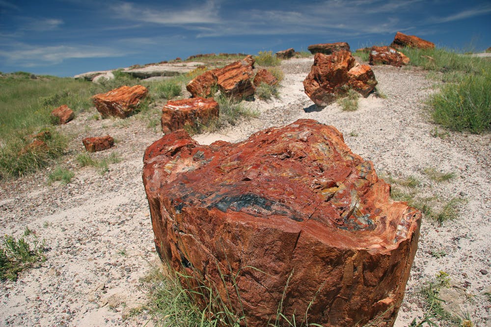Riverside to Petrified Forest National Park