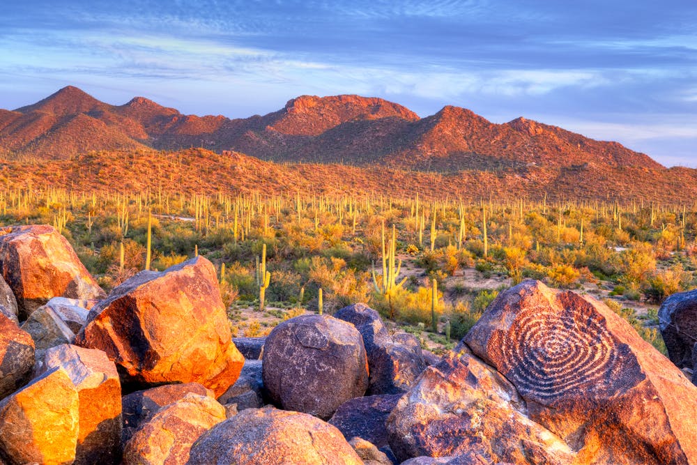 A Guide to Saguaro National Park | RVshare.com