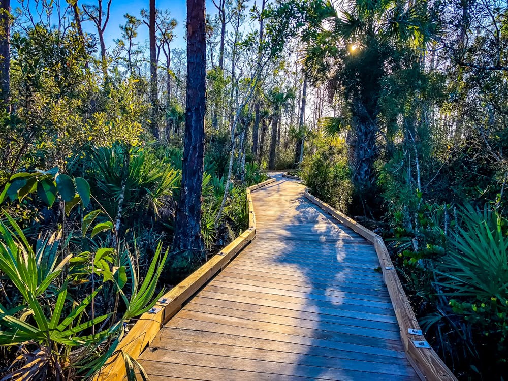 Escape To Paradise: Your Guide To Alafia River State Park, Florida