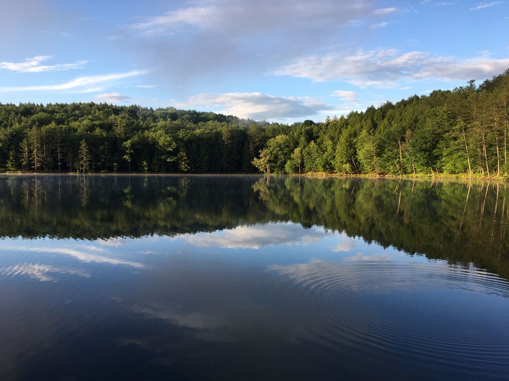 A Guide to Gilbert Lake State Park