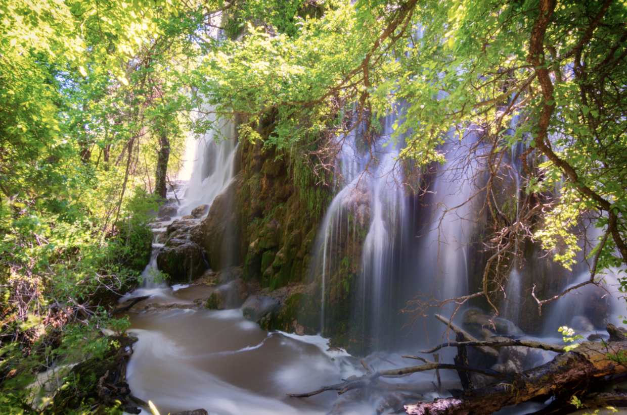 A Guide To Colorado Bend State Park RVshare Com   Ae229614a4f356c6211ce732497611a300d595b5 Colorado Bend State Park 