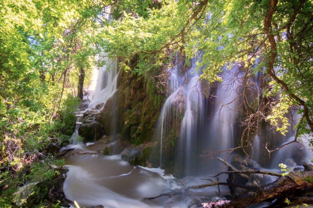 A Guide to Colorado Bend State Park | RVshare.com