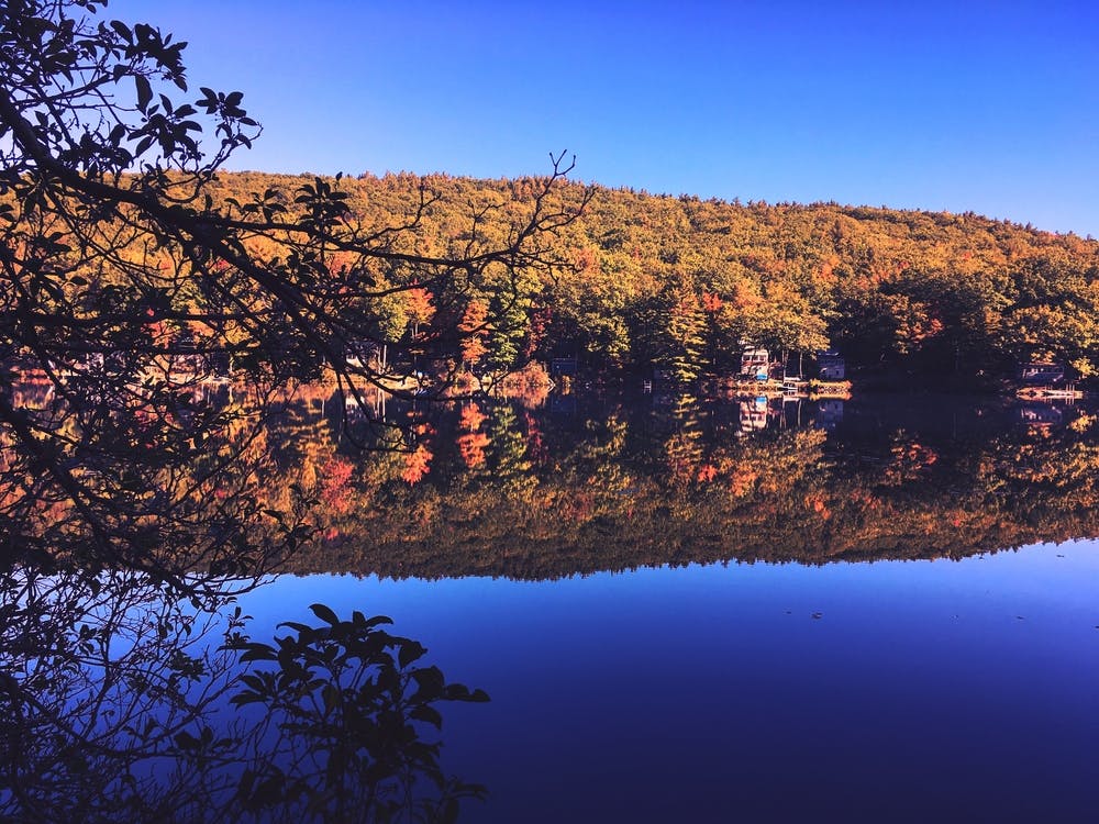 A Guide to Activities & RV Rentals at Erving State Forest RVshare