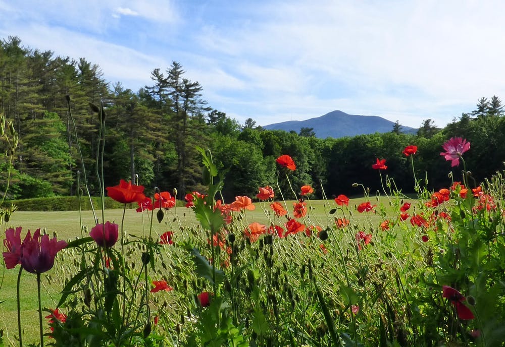 Mount Ascutney State Park