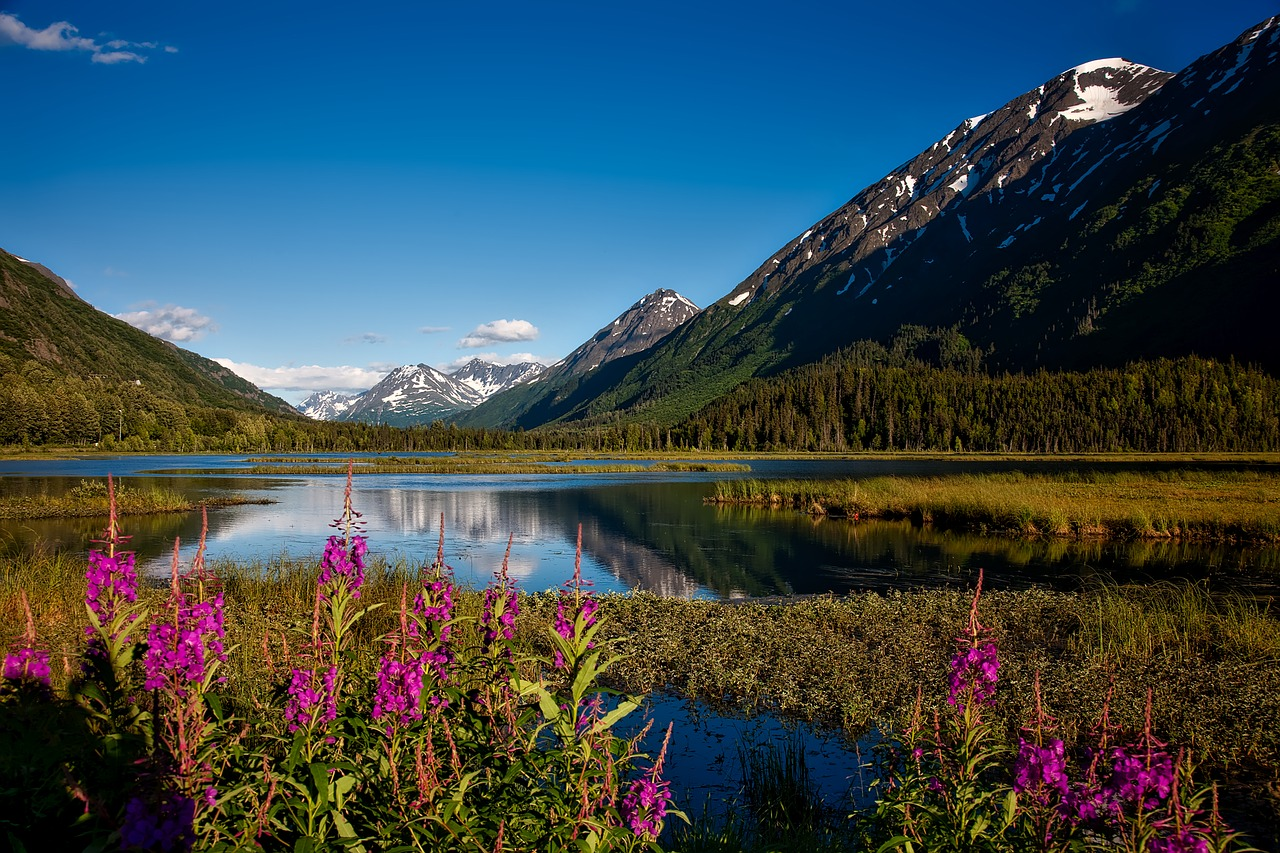 A Guide To Activities RV Rentals At Chugach State Park RVshare   Ee4d5872ad7788088c6624f60904f9f07e586f52 Chugach State Park 