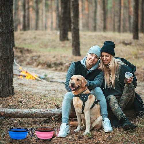 Product image for Collapsible Dog Bowls