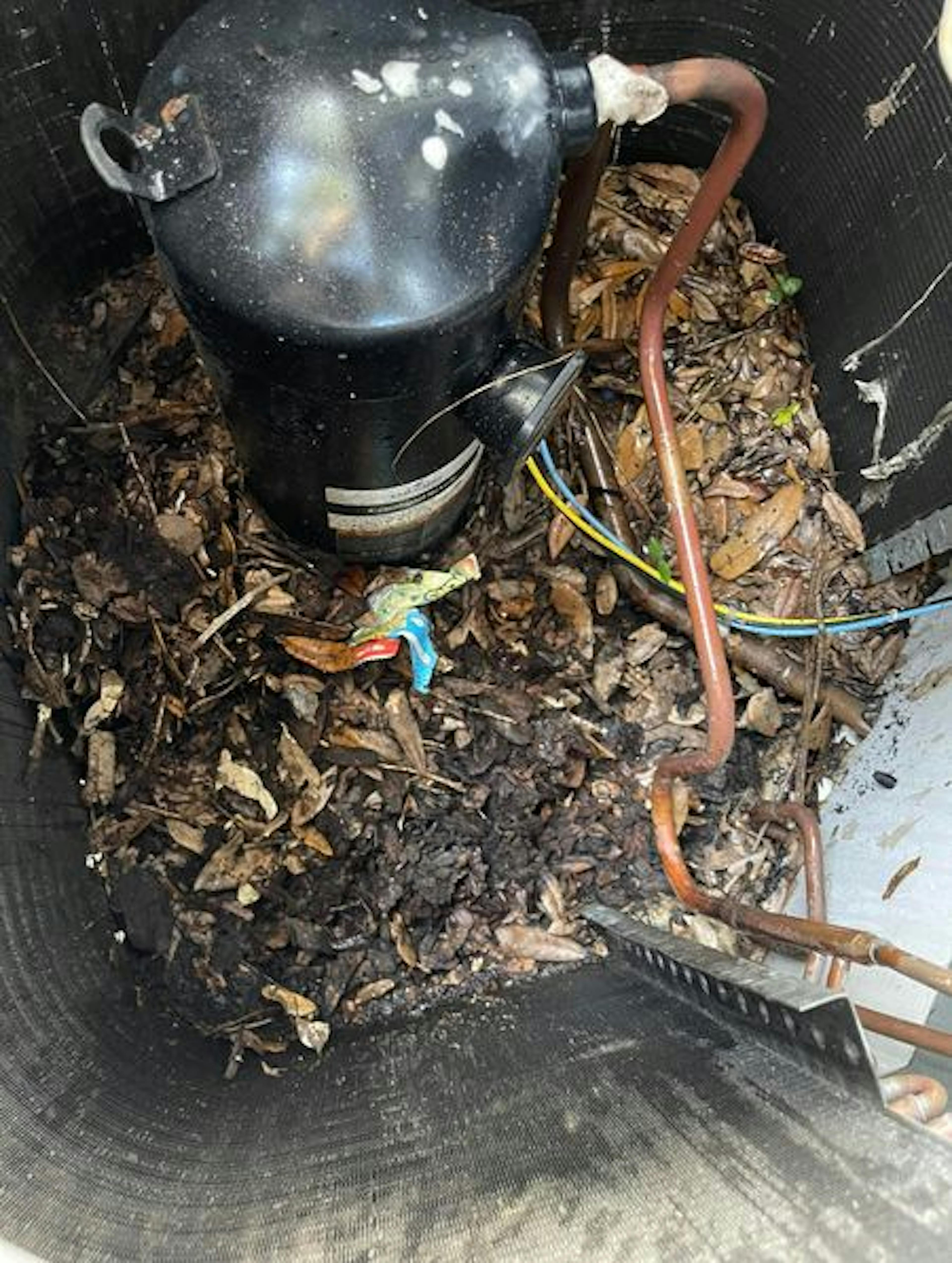 HVAC Maintenance