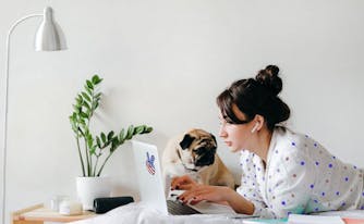 person shopping online during labor day mattress sales