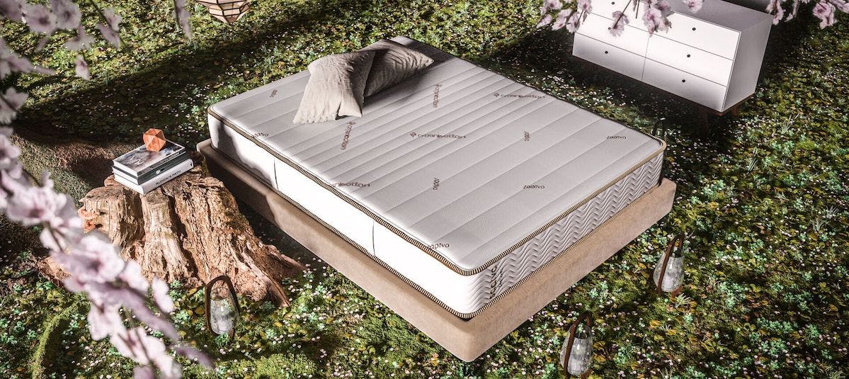 zenhaven latex mattress