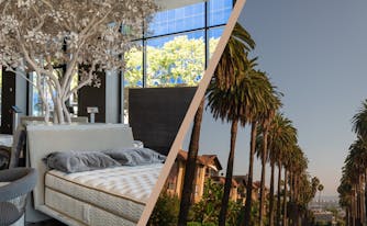 saatva viewing room image next to image of west hollywood street lined with palm trees