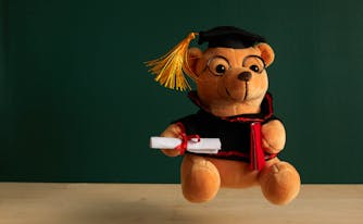teddy bear wearing college graduation cap and gown and holding diploma