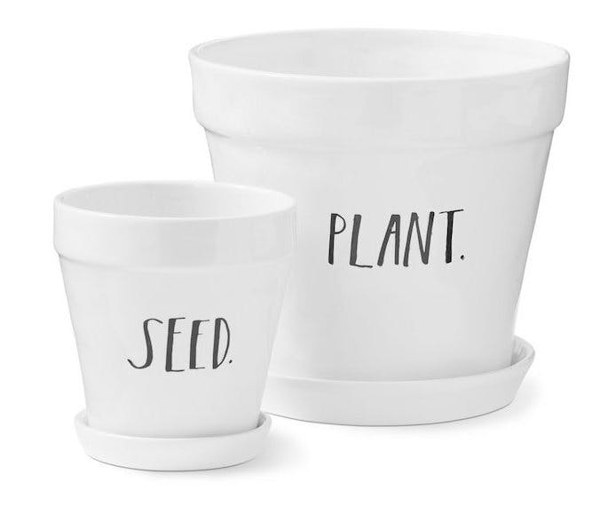 rae dunn planters with the words "seed" and "plant" on them