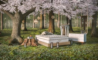 mattress, dresser, and clothing rack outside in forest to symbolize the concept of friluftsliv