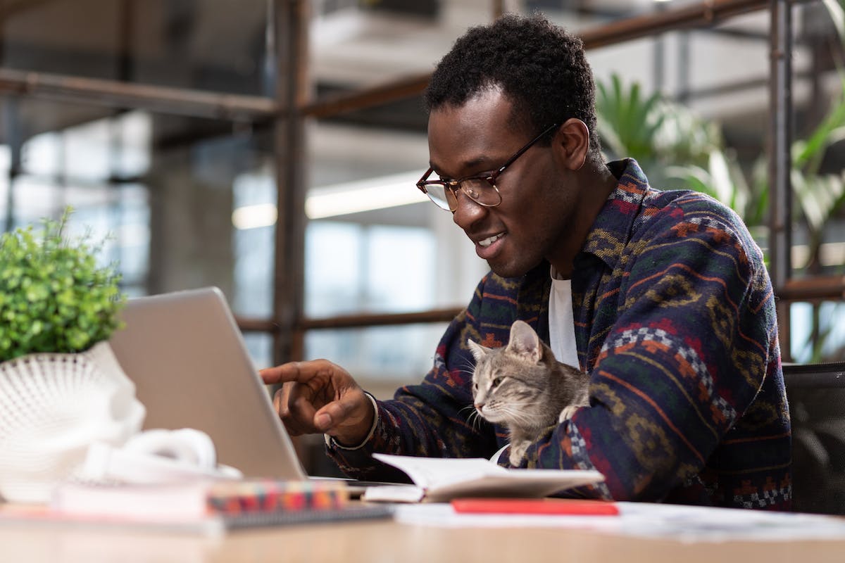 person working on laptop with cat on lap