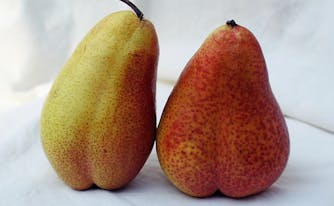 benefits of sleeping naked - image of pears in bed