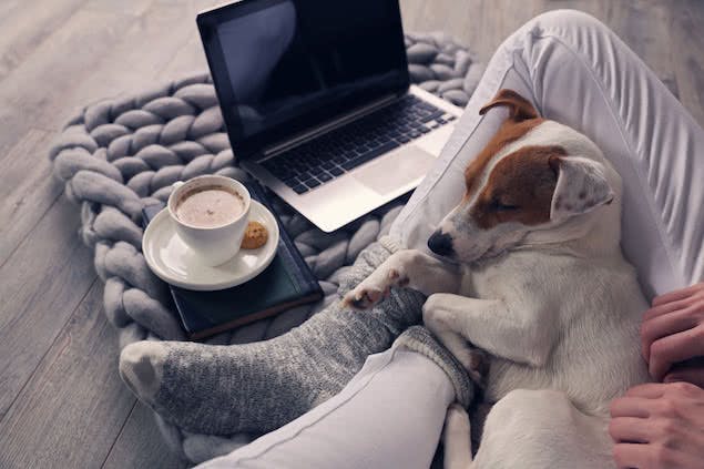 person snuggling with dog with coffee cup, laptop, and blanket nearby