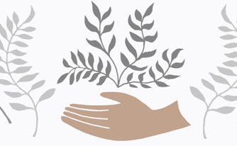 how saatva supports environment for earth day - image of eco-friendly sign