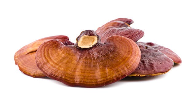 sleep supplement - image of reishi