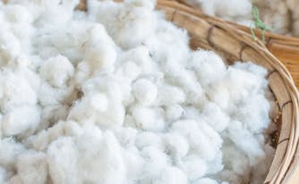 image of cotton in basket - mattress certifcations