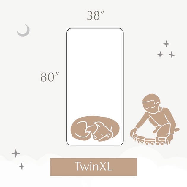 twin xl mattress dimensions infographic