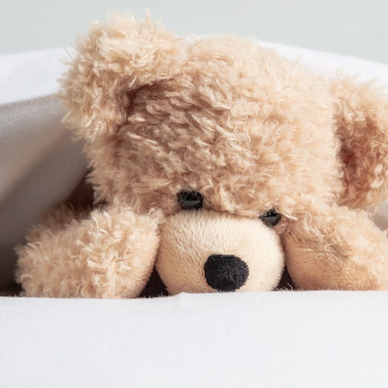 Sleeping with a Stuffed Animal as an Adult: Is It Normal? | Saatva
