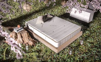 saatva mattress outside in nature on earth day