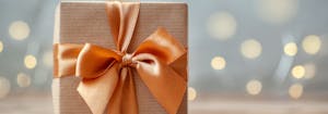 holiday gift guide 2022 - wrapped gift box