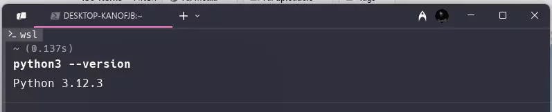 check-existing-python-version