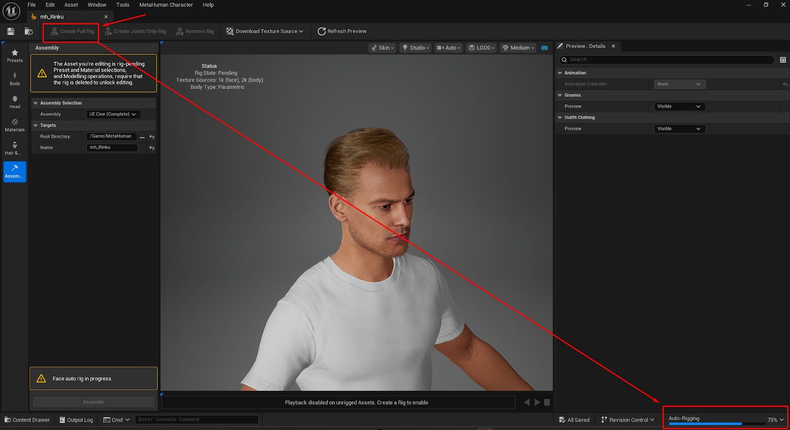 MetaHuman Auto-Rigging