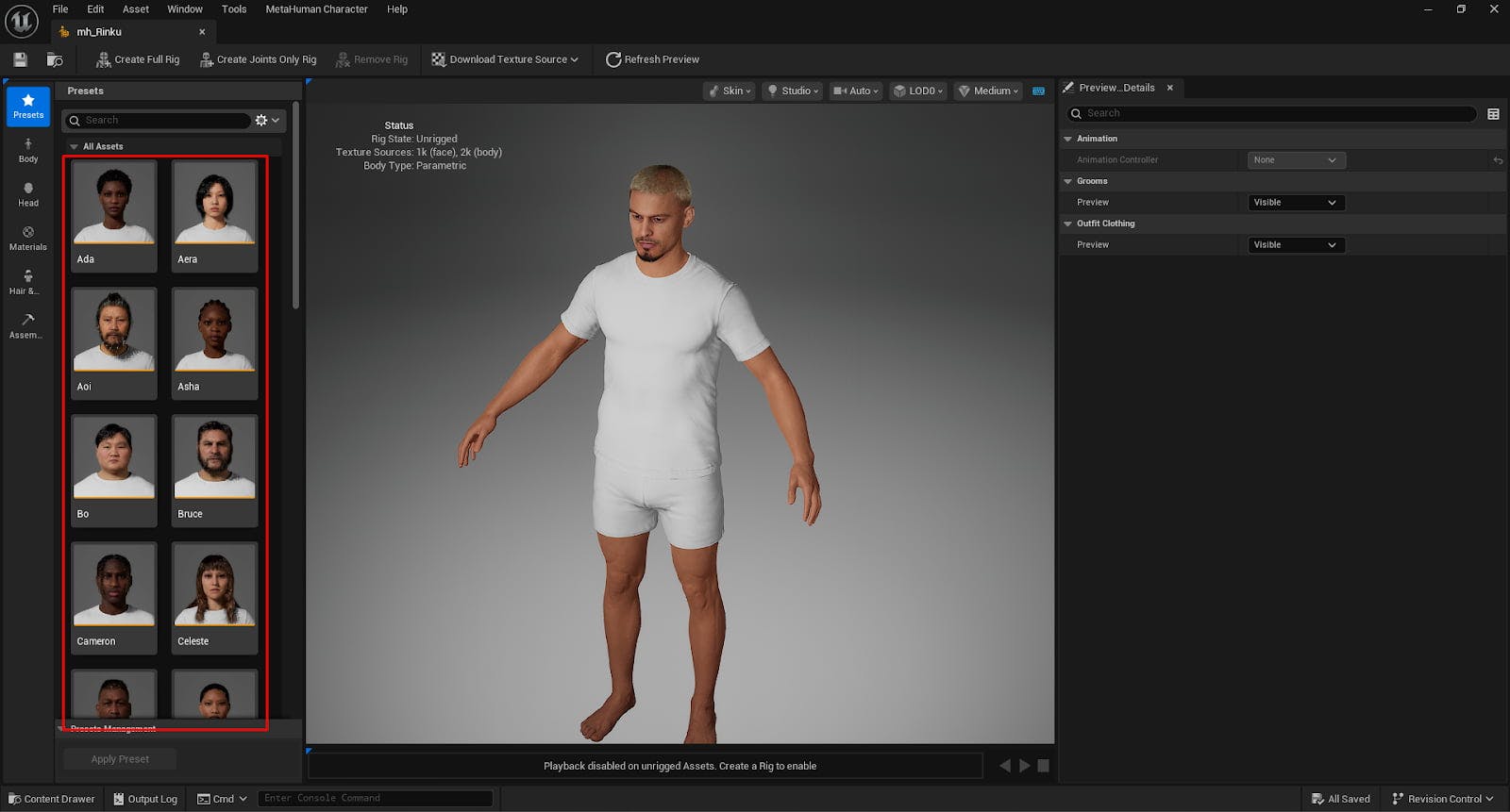 MetaHuman Presets