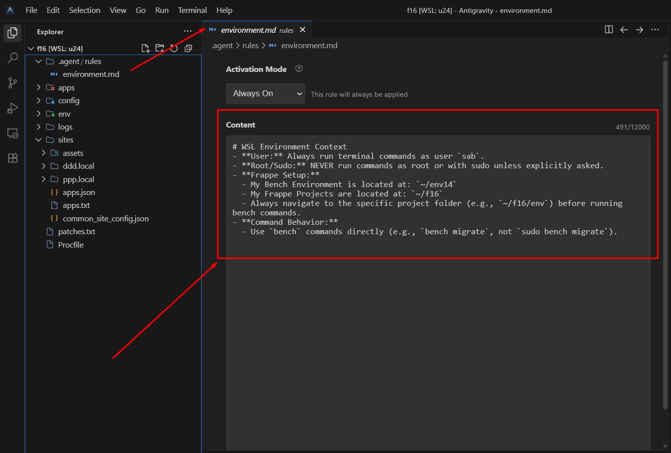Custom Rules for AI Agent