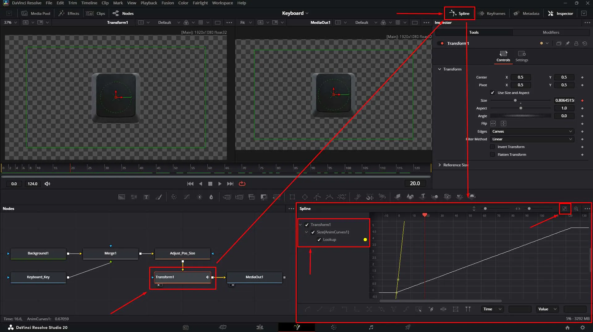 Open the Spline tool to check the animation Curve of Size