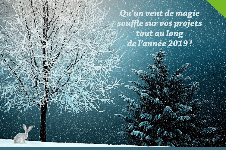 Voeux des fêtes 2018