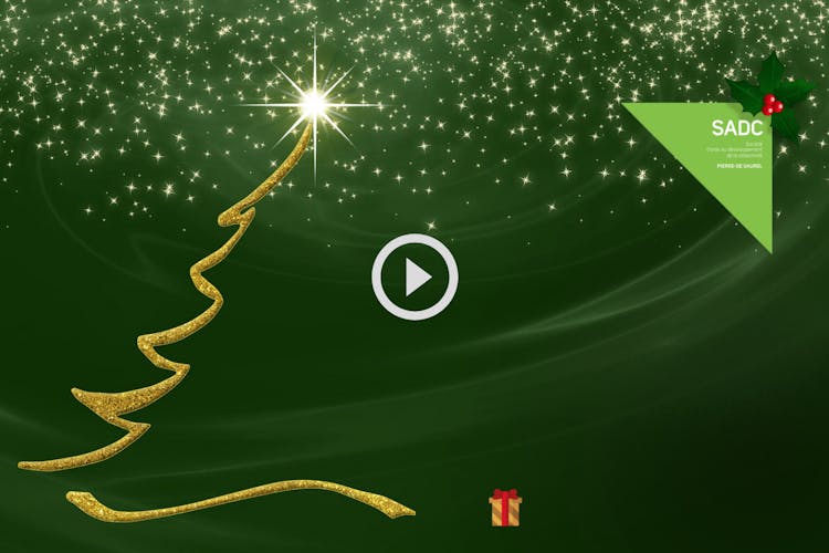 L'équipe de la SADC Pierre-De Saurel vous offrent leurs meilleurs voeux et vous souhaitent une année 2022 remplie de succès !