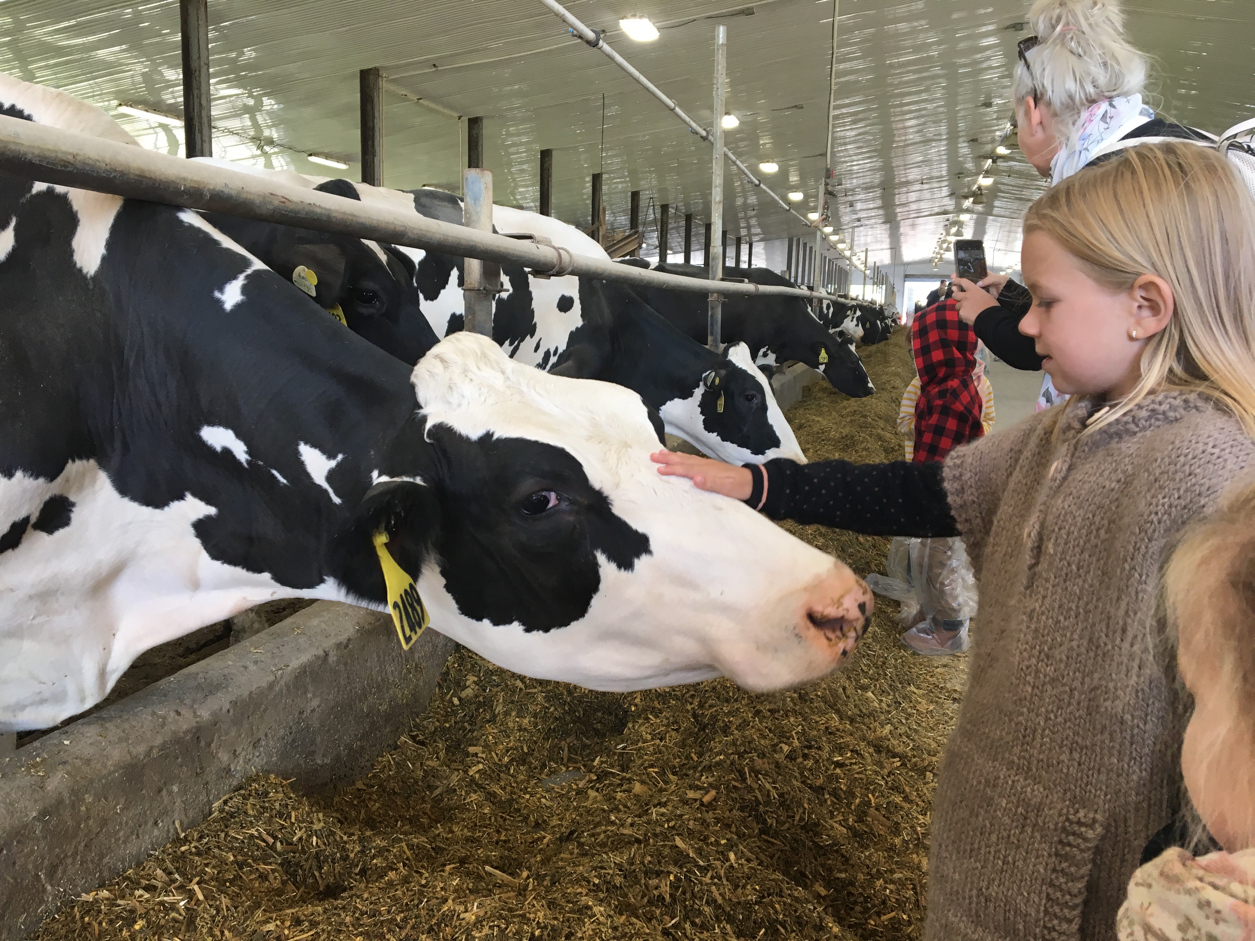 Portes ouvertes sur les fermes 2018-Ferme J.N.Beauchemin & Fils