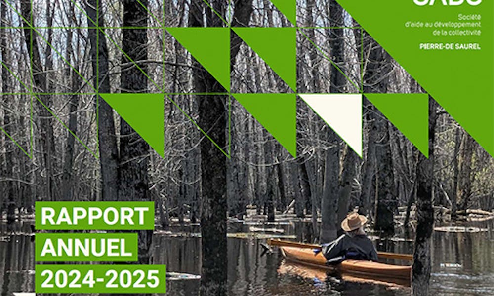 Rapport annuel 2024-2025