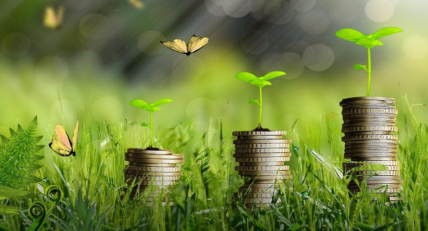 Tours de monnaie qui fleurissent