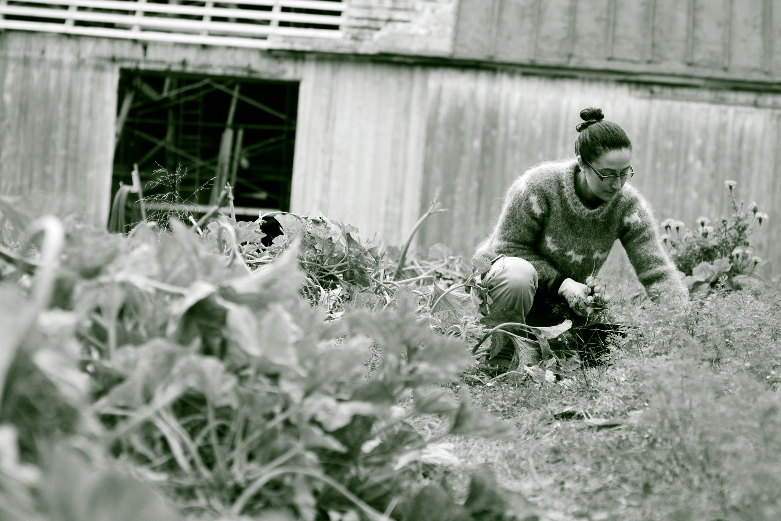 Les Jardins d'Alexandra