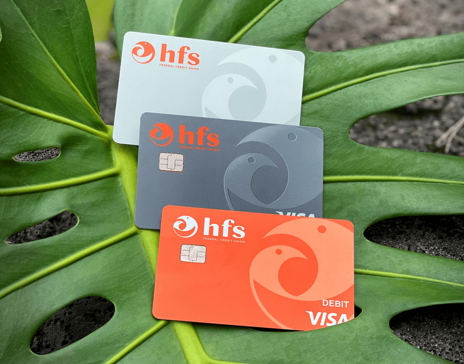 HFS Credit Cards
